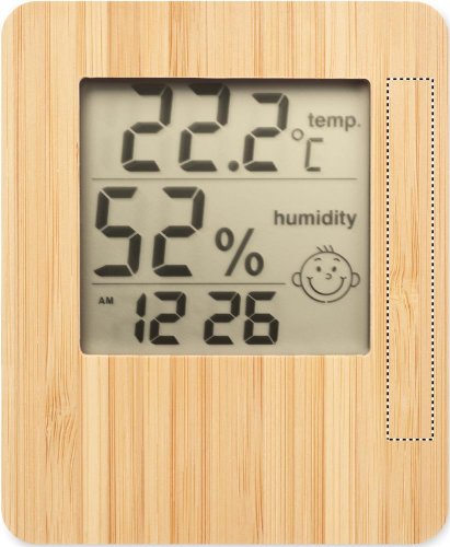 Bambusová meteostanice
